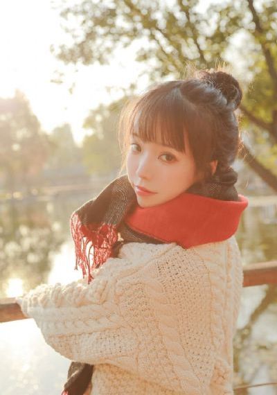 特洛伊电影删减版