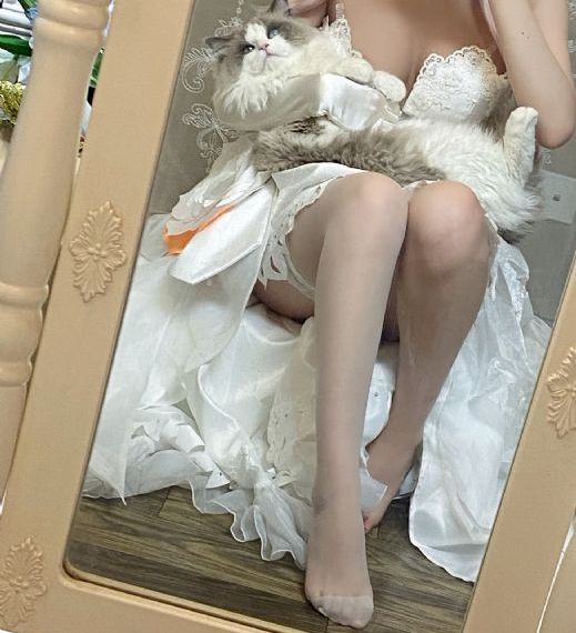 电锯人第二季在线全集免费观看
