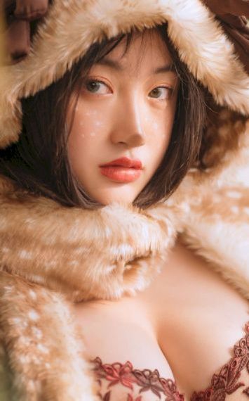 冬眠的熊先生动漫完整观看