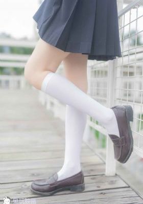 野花视频免费观看